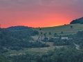 111 IMG_110723 h