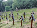 IMG_166559-h