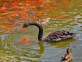 IMG_167286-khhx