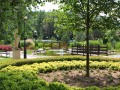 IMG_167296-kh