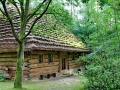 IMG_167664-h
