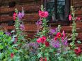 IMG_167840-h