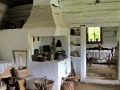 IMG_167842-h
