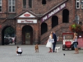012 IMG_63754 hzsx_resize