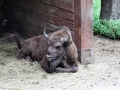 055 IMG_64320 h_resize