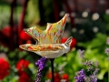 058 IMG_64351 h_resize