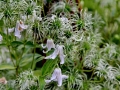 059 IMG_64401 h_resize