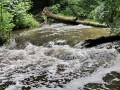 IMG_147451-h