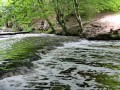 IMG_147480-h