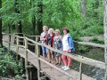 IMG_147491-h