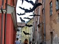IMG_148085-hh