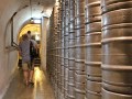 IMG_148842-h
