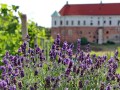 IMG_148920-h