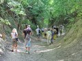 IMG_148966-h