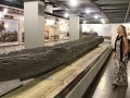 IMG_149159-h