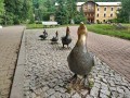 IMG_20210719_092845-h