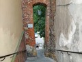 IMG_20210721_105315-h