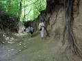 IMG_6399